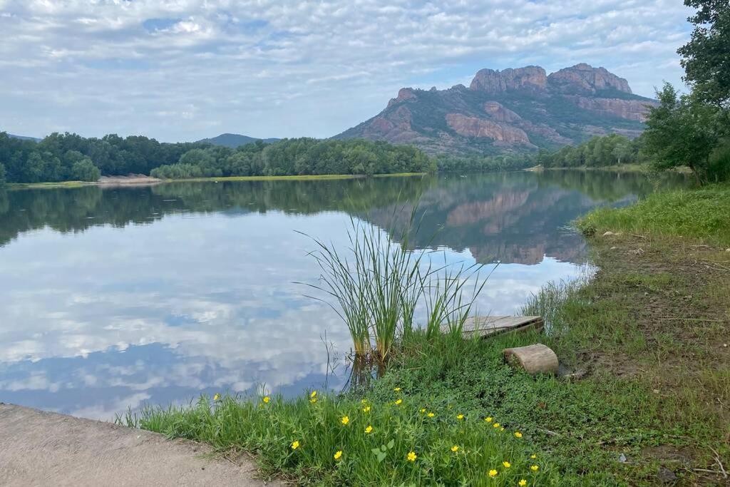 Petite Maison De Charme - Le Jardin Secret D'Alice Roquebrune-sur Argens Ngoại thất bức ảnh